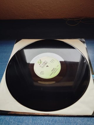Maxi Single Swan General Custer