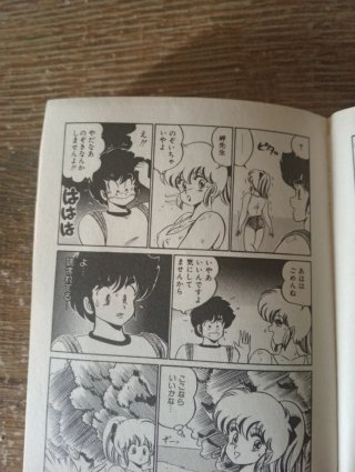 Manga France Shoin Comic Bunko coleccionismo