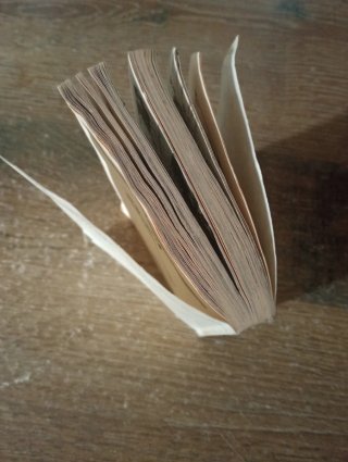 Manga France Shoin Comic Bunko coleccionismo