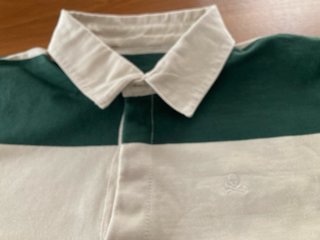 Polo caballero rayas verdes y beige.