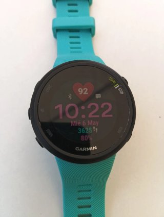 Reloj Garmin Forerunner 45 GPS