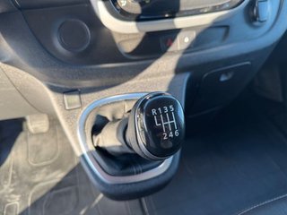 Renault Trafic Authentique