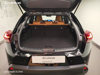 Lexus UX300H UX+ 2026 REF 9961