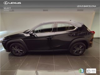 Lexus UX300H UX+ 2026 REF 9961