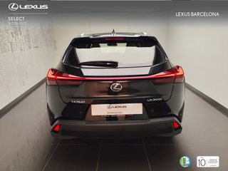 Lexus UX300H UX+ 2026 REF 9961