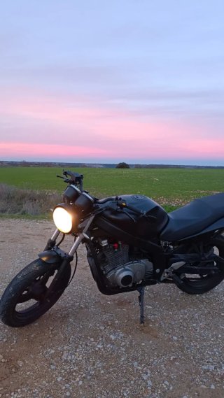 Suzuki gs500