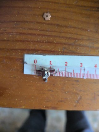 Pendientes Libélula Plata 925 y Esmalte