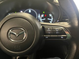 Mazda 3 2.0 E-SKYACTIV 150cv HOMURA