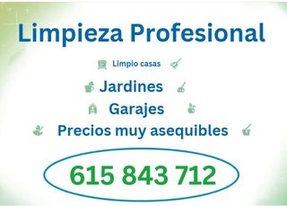 Servicio de limpieza a domicilio