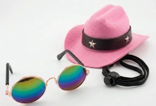 Sombrero vaquero rosa y gafas de sol para mascotas