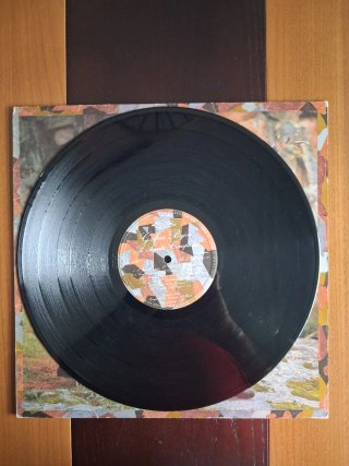 Vinilo Golpes Bajos