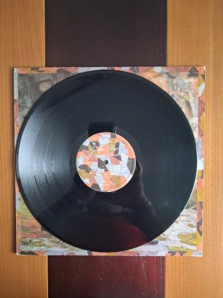 Vinilo Golpes Bajos