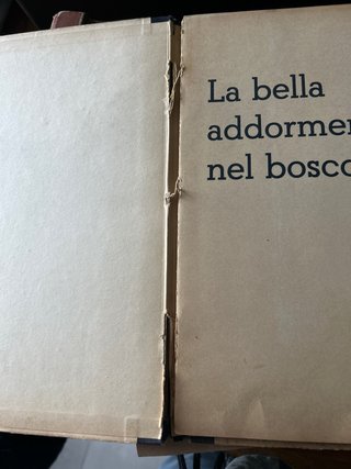 La Bella Addormentata nel Bosco - Fiaba Animata