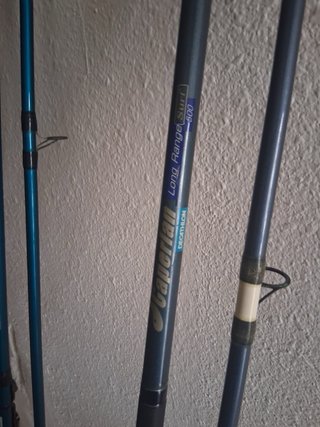 Cañas de pesca Horizon 425 BX y 420 – Precio ne