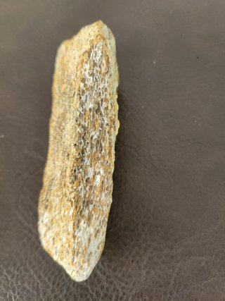 Expositor Dinosaurio S052