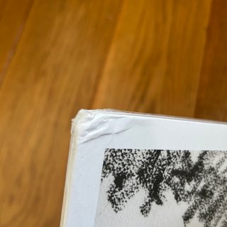 James Blake - Trying Times vinile LP bianco limitato