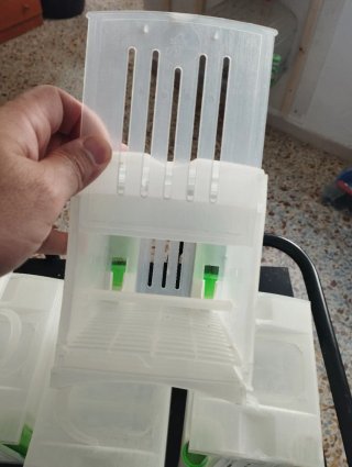 6 Trasportini per uccelli 2GR