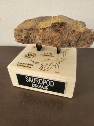 S47 Soporte Dinosaurio Sauropodo