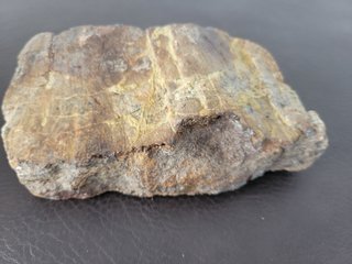 S47 Soporte Dinosaurio Sauropodo