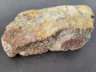 S47 Soporte Dinosaurio Sauropodo