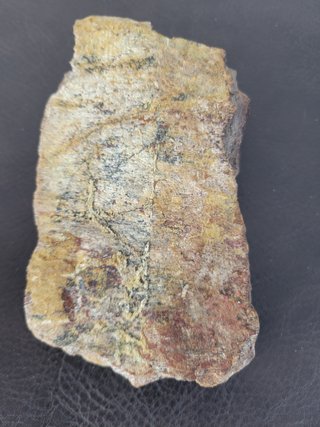 S47 Soporte Dinosaurio Sauropodo