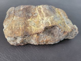 S47 Soporte Dinosaurio Sauropodo