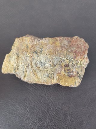 S47 Soporte Dinosaurio Sauropodo
