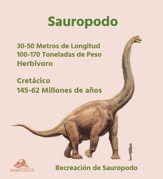 S47 Soporte Dinosaurio Sauropodo