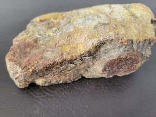 S47 Soporte Dinosaurio Sauropodo