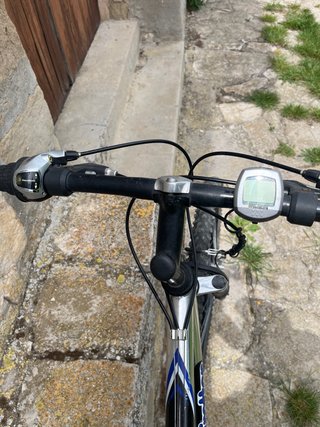 Bicicleta de montaña Globe Trotter
