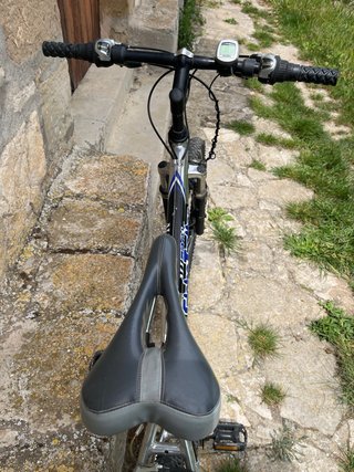 Bicicleta de montaña Globe Trotter