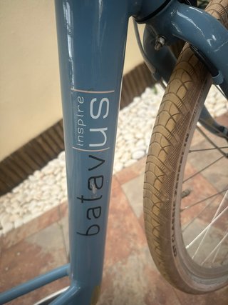 Bicicleta Holandesa Batavus Mambo Azul