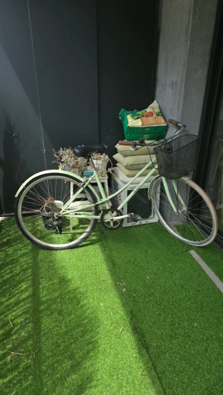Bicicleta Urbana Mint