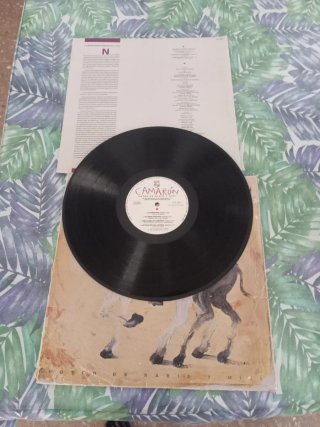 Vinilo Camaron de la Isla POTRO DE RABIA Y MIEL