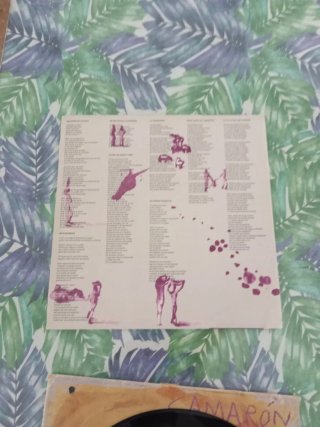 Vinilo Camaron de la Isla POTRO DE RABIA Y MIEL