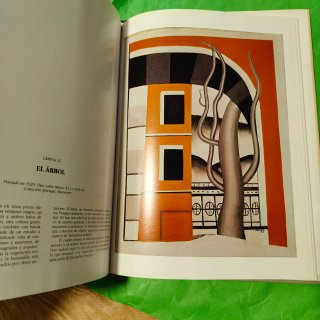 Dos libros dé Léger y Fortuny