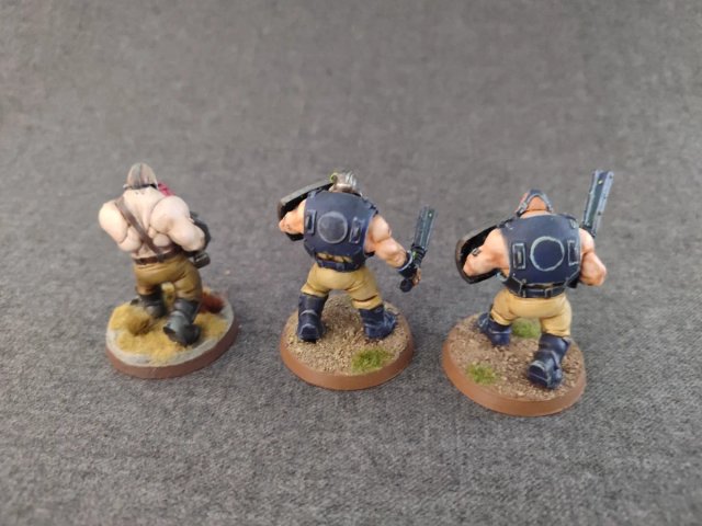 Bullgryns Astra Militarum Warhammer