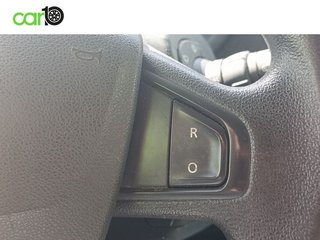 Renault Kangoo INDUSTRIAL