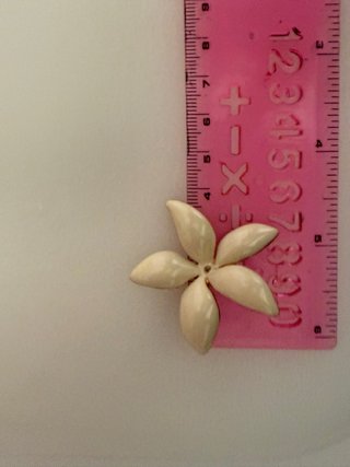 Pendientes CH Jazmín Grandes Beige/Oro