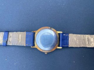 Reloj Haller Automático Vintage Caballero 25