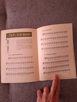Lote Libros Flauta Dulce y Melódica