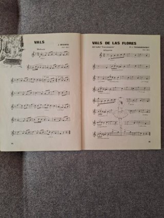 Lote Libros Flauta Dulce y Melódica