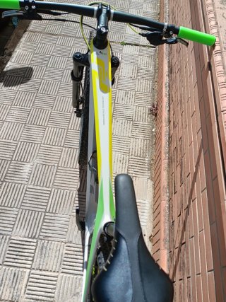 Bicicleta de Montaña
