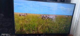 Televisor LG 43 Pulgadas  UHD 4K