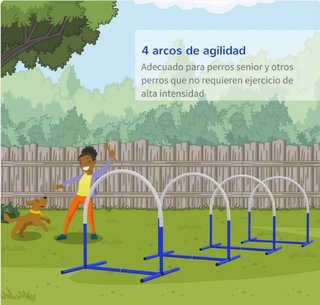 Set Agilidad Perros Aros Entrenamiento