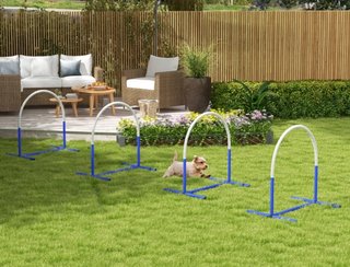 Set Agilidad Perros Aros Entrenamiento