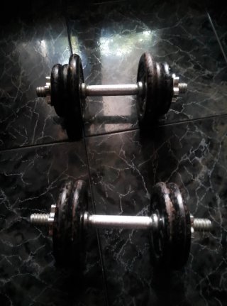 Mancuernas ajustables con discos