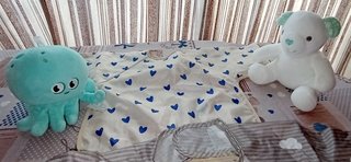 Lote Baberos y Peluches