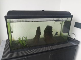 Acuario 100L con filtro y complementos