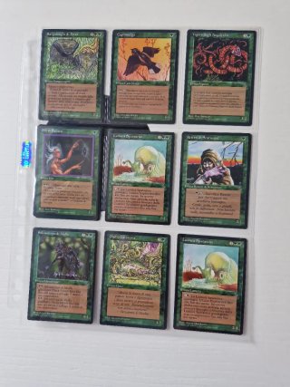 Magic Lote Dark italiano